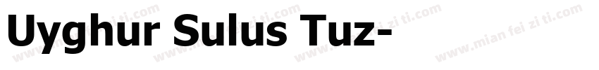 Uyghur Sulus Tuz字体转换